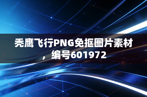 秃鹰飞行PNG免抠图片素材，编号601972