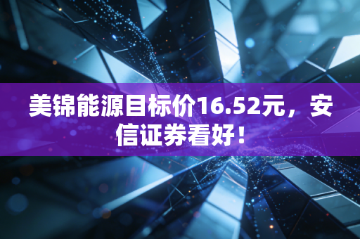 美锦能源目标价16.52元，安信证券看好！
