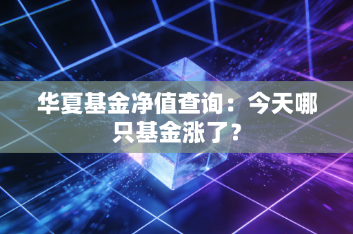 华夏基金净值查询：今天哪只基金涨了？
