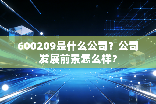 600209是什么公司？公司发展前景怎么样？