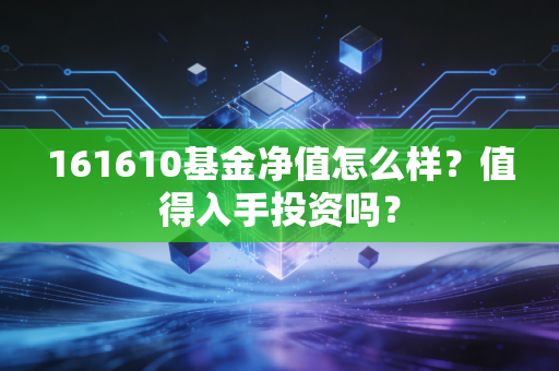 161610基金净值怎么样？值得入手投资吗？