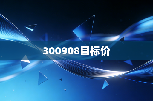 300908目标价