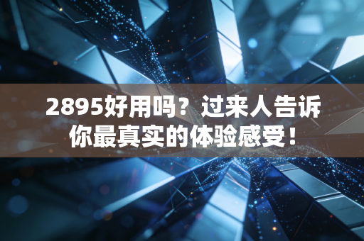 2895好用吗?过来人告诉你最真实的体验感受!