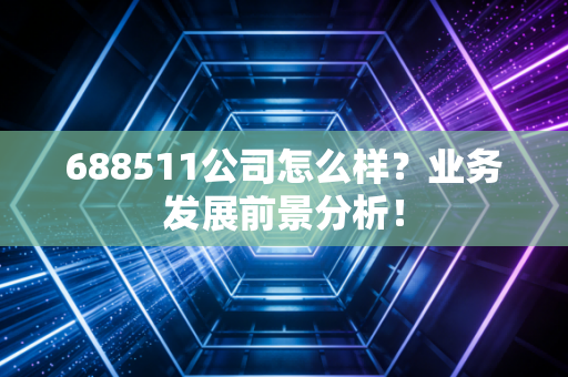 688511公司怎么样?业务发展前景分析!