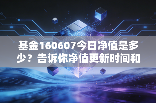 基金160607今日净值是多少？告诉你净值更新时间和查看技巧！