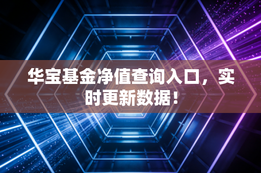 华宝基金净值查询入口，实时更新数据！