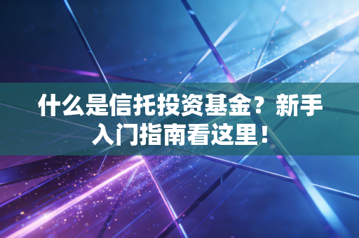 什么是信托投资基金？新手入门指南看这里！