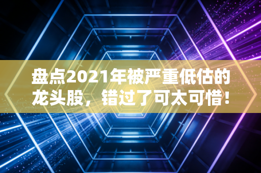 盘点2021年被严重低估的龙头股,错过了可太可惜!