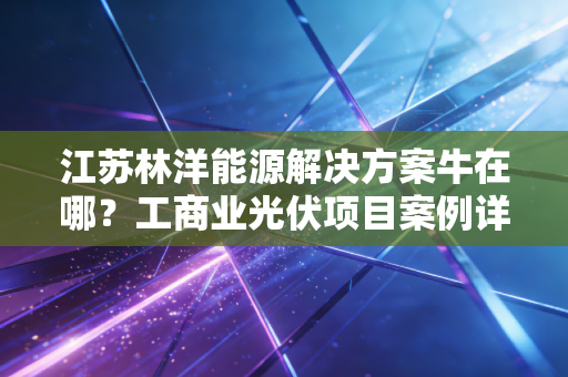 江苏林洋能源解决方案牛在哪？工商业光伏项目案例详解