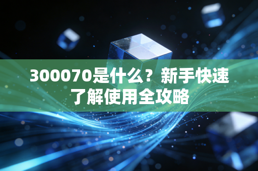300070是什么？新手快速了解使用全攻略
