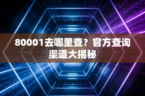80001去哪里查？官方查询渠道大揭秘