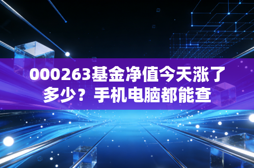 000263基金净值今天涨了多少?手机电脑都能查