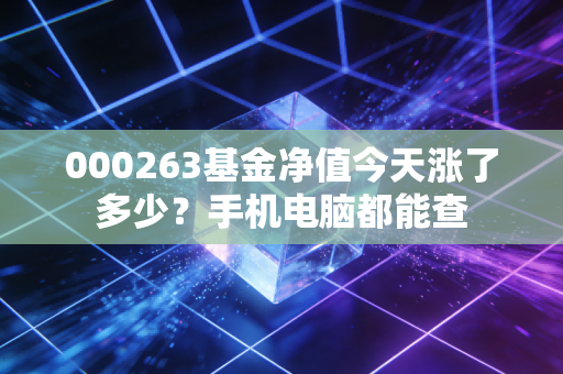 000263基金净值今天涨了多少?手机电脑都能查