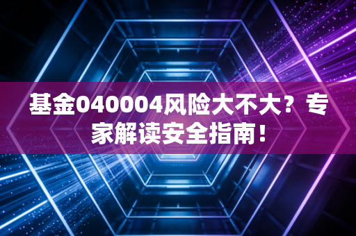 详细阅读:基金040004风险大不大?专家解读安全指南! 基金040004风险大不大?专家解读安全指南!