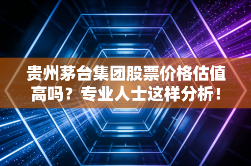 贵州茅台集团股票价格估值高吗?专业人士这样分析!