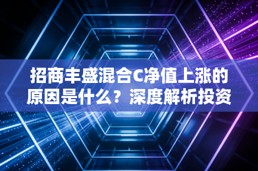 招商丰盛混合C净值上涨的原因是什么?深度解析投资组合