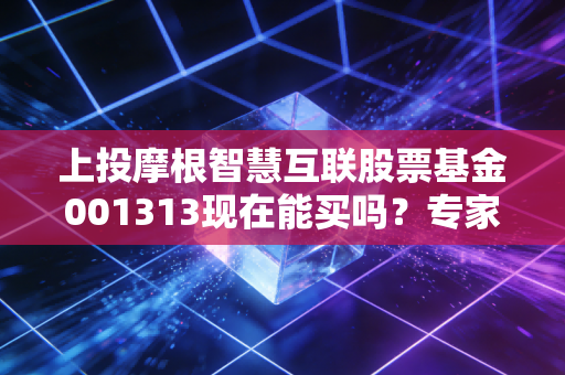详细阅读:上投摩根智慧互联股票基金001313现在能买吗?专家告诉你! 上投摩根智慧互联股票基金001313现在能买吗?专家告诉你!