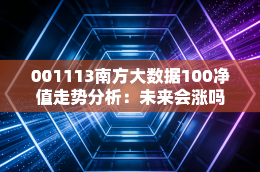 001113南方大数据100净值走势分析：未来会涨吗