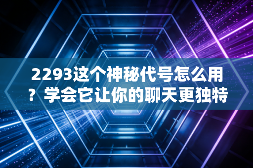2293这个神秘代号怎么用?学会它让你的聊天更独特!