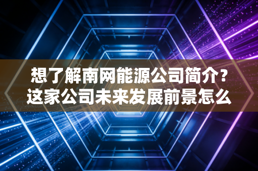 想了解南网能源公司简介？这家公司未来发展前景怎么样？
