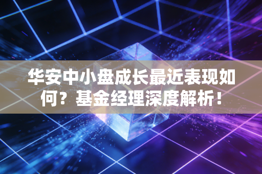 详细阅读:华安中小盘成长最近表现如何?基金经理深度解析! 华安中小盘成长最近表现如何?基金经理深度解析!