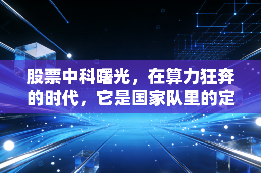 股票中科曙光，在算力狂奔的时代，它是国家队里的定海神针还是泡沫里的高塔？