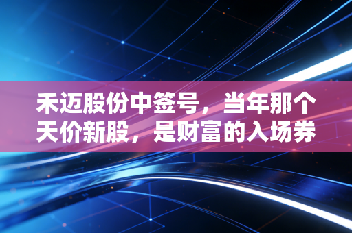 禾迈股份中签号，当年那个天价新股，是财富的入场券还是美丽的陷阱？