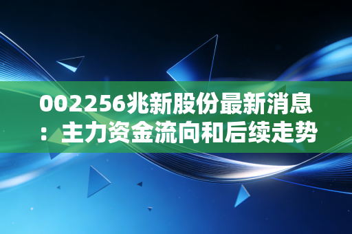 002256兆新股份最新消息：主力资金流向和后续走势分析