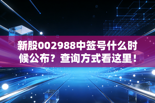 新股002988中签号什么时候公布？查询方式看这里！