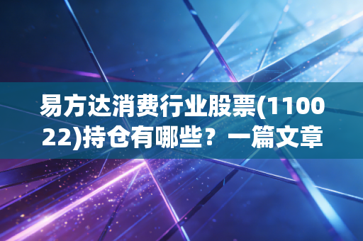 易方达消费行业股票(110022)持仓有哪些？一篇文章看懂！