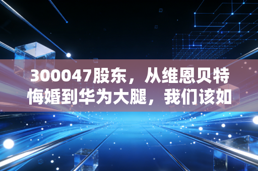 300047股东，从维恩贝特悔婚到华为大腿，我们该如何审视天源迪科的真实价值？