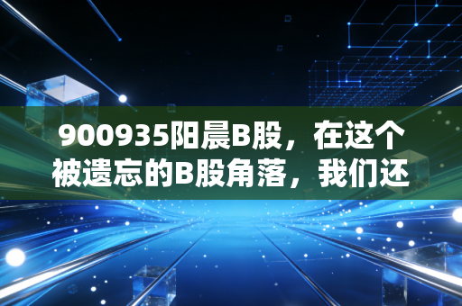 900935阳晨B股,在这个被遗忘的B股角落,我们还能捡到金子吗?