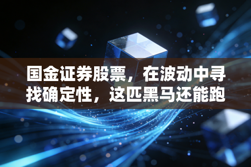 国金证券股票，在波动中寻找确定性，这匹黑马还能跑多远？