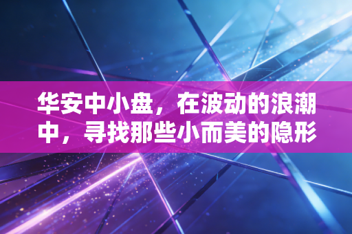 华安中小盘,在波动的浪潮中,寻找那些小而美的隐形冠军