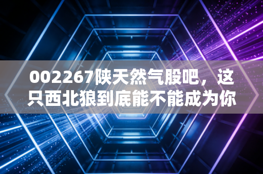 002267陕天然气股吧，这只西北狼到底能不能成为你的压舱石？