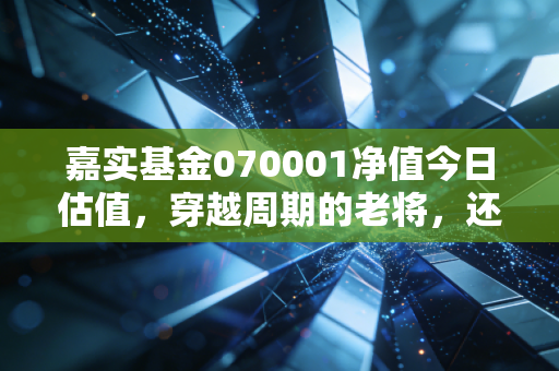 嘉实基金070001净值今日估值，穿越周期的老将，还在为你守卫财富吗？