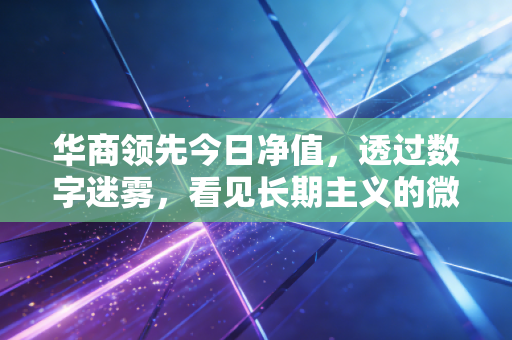 华商领先今日净值，透过数字迷雾，看见长期主义的微光