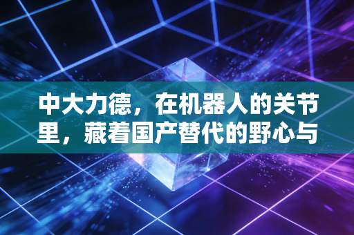 中大力德，在机器人的关节里，藏着国产替代的野心与焦虑