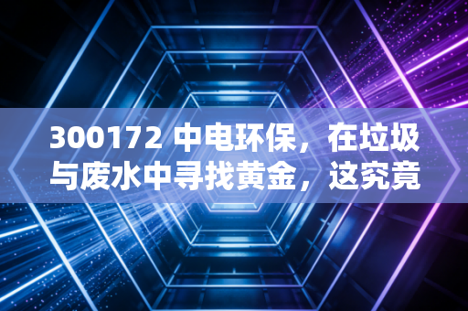 300172 中电环保，在垃圾与废水中寻找黄金，这究竟是稳健的避风港还是被遗忘的角落？
