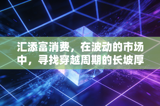 汇添富消费，在波动的市场中，寻找穿越周期的长坡厚雪