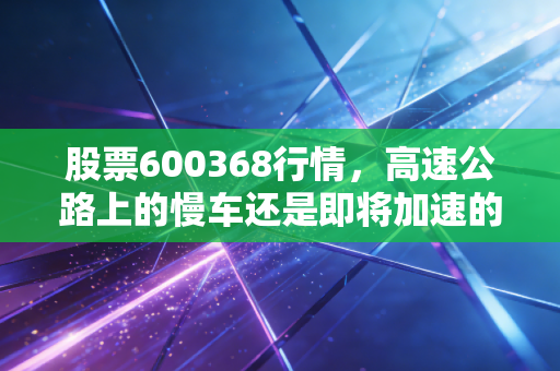 股票600368行情，高速公路上的慢车还是即将加速的特快？——五洲交通深度投资观察