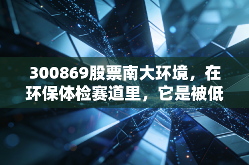 300869股票南大环境，在环保体检赛道里，它是被低估的隐形冠军吗？