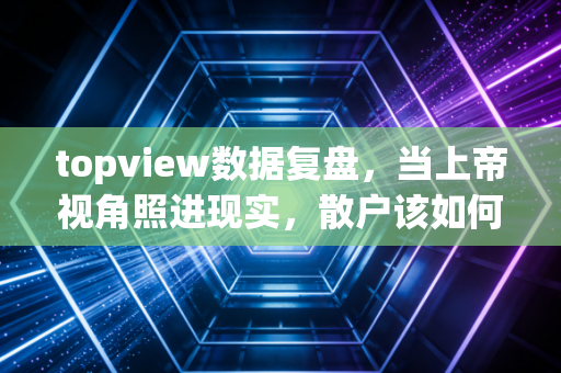 topview数据复盘,当上帝视角照进现实,散户该如何在机构博弈中寻找生存空间?