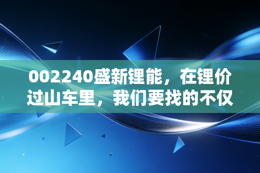 002240盛新锂能，在锂价过山车里，我们要找的不仅是反弹，更是确定性