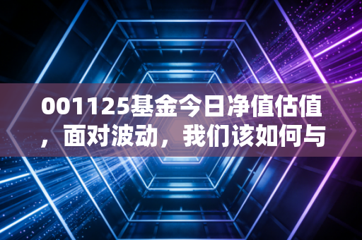 001125基金今日净值估值,面对波动,我们该如何与这位激进派基金经理共舞?