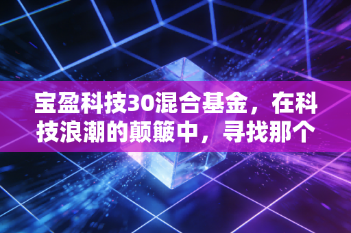 宝盈科技30混合基金，在科技浪潮的颠簸中，寻找那个滚烫的未来
