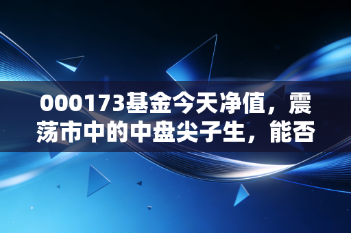 000173基金今天净值,震荡市中的中盘尖子生,能否成为你的财富压舱石?