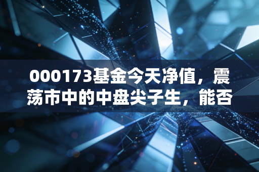 000173基金今天净值，震荡市中的中盘尖子生，能否成为你的财富压舱石？