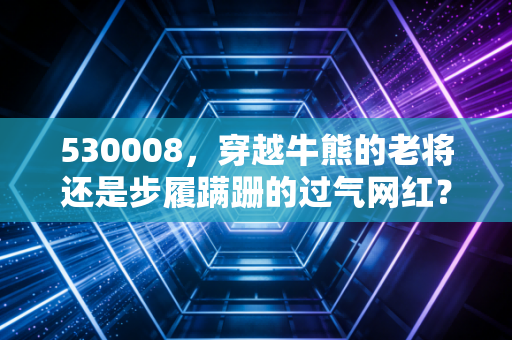 530008，穿越牛熊的老将还是步履蹒跚的过气网红？聊聊建信优势动力的那些事儿