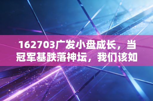 162703广发小盘成长，当冠军基跌落神坛，我们该如何面对投资中的过山车？